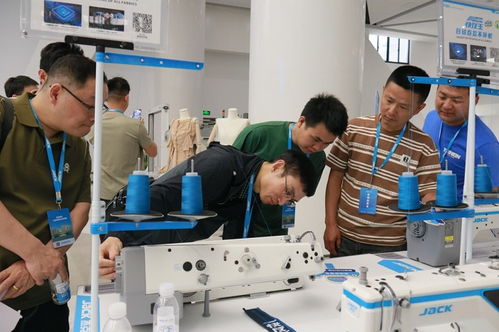 缝纫技术的变迁与展望 从历史脉络到现代创新之旅