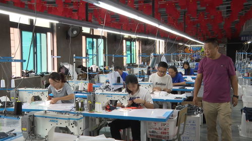 云南云县 服装厂开在家门口，挣钱不再往外走——技术转让与咨询的致富新路