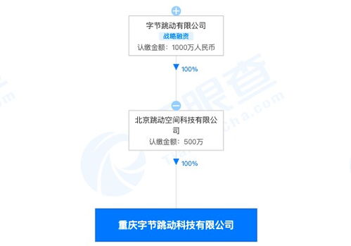 字节跳动跨界布局 重庆子公司经营范围新增房地产经纪与技术咨询